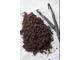Ваниль плосколистная (Vanilla planifolia) абсолю 1 гр