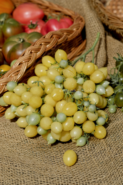 Томат Сумасшедшие Вишни Барри  (Barry's Crazy Cherry), 10 шт