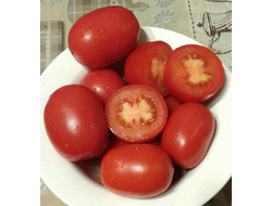 Семена томата Санта Круз Када