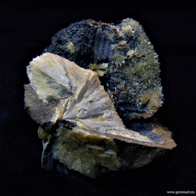 Барит на псиломелане в полости ракушки. 50*50*42мм