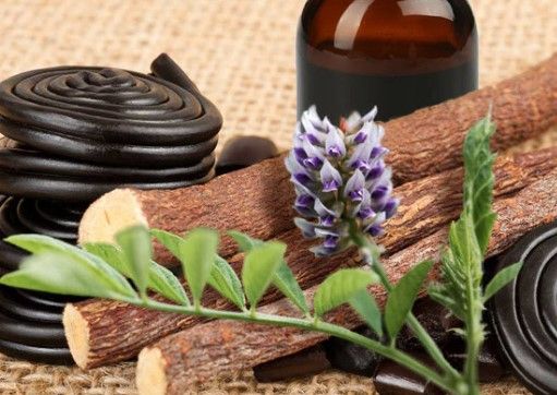 корень солодки