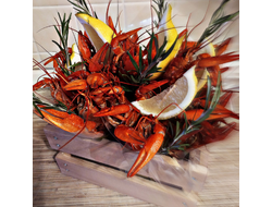 Кашпо с раками -1 кг (микс "S" и "M" по 0,5 кг)