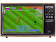 Euro 2004 Portugal, Игра для Сега (Sega Game)