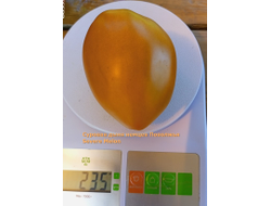 Томат Суровая Дыня немцев Поволжья (Severe Melon)