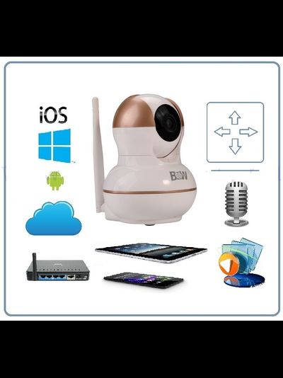 BW. Моторизированная видеокамера WiFi/LAN с DVR, HD (163Eye/Yoosee)