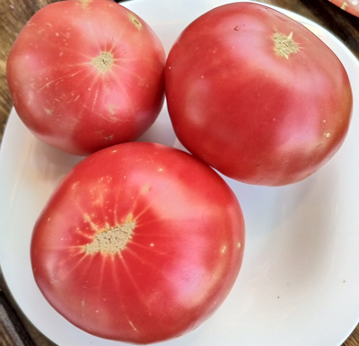 Томат Хелен немецкий (Helen's German)