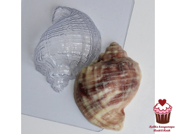 Форма пластик Ракушка Рапан