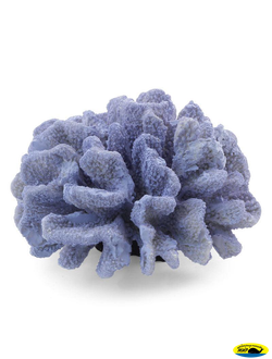 74004094 710КА Грот Морской коралл фиолетовый