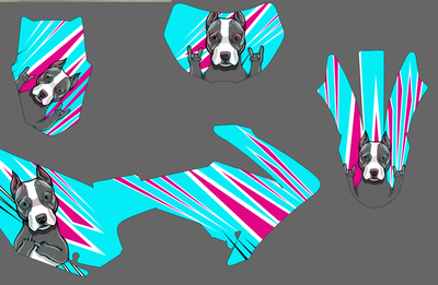 Питбайк SSSR Atom, Wels, JMC, Мotoland Apex CRF, BSE PH 2018 - 2019 #2020