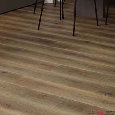 SPC ламинат FirstFloor Коричневый Дикий Лес 1F005 43 класс толщина 4.0 мм с фаской замковый 2.665 м2