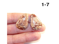 Коралл натуральный окаменелый (кабошон) №1-7: 5,7г - 2 шт. 27*19*5мм