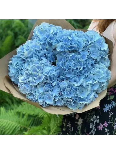 9 розовых гортензий