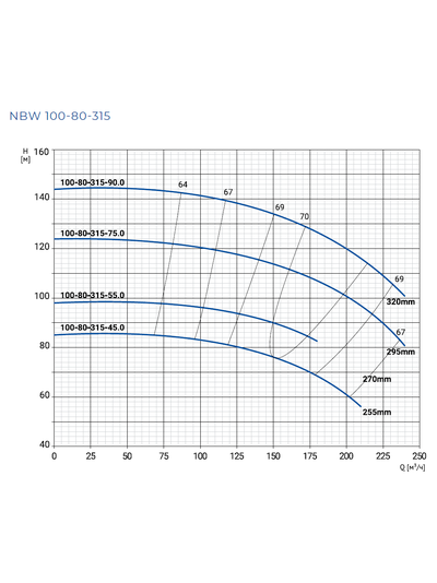 NBW 100-80-315-90.0/2-G