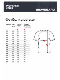 ФУТБОЛКА САМБО BRAVEGARD "Sambo classic" БЕЛЫЙ