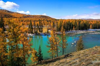 ОСЕННИЕ КРАСКИ АЛТАЯ