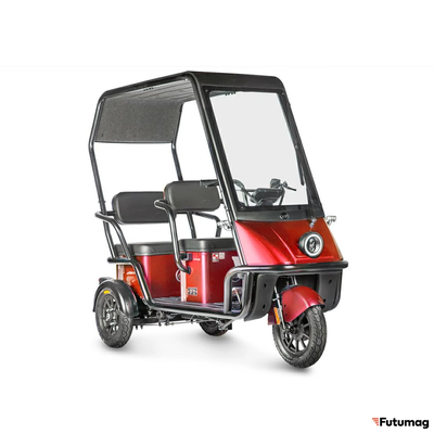 Электротрицикл Wanshida NIPLA 500 60V 1000Вт красный