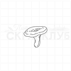 Штамп волнушка, груздь, горькушка