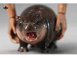 Бегемотик Му Денг - Коллекционная фигурка 1/6 Baby Hippo Figurine (JXK256) - JXK