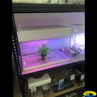 Аквариум 70л. с крышкой 60*46(h)*30 без ламп