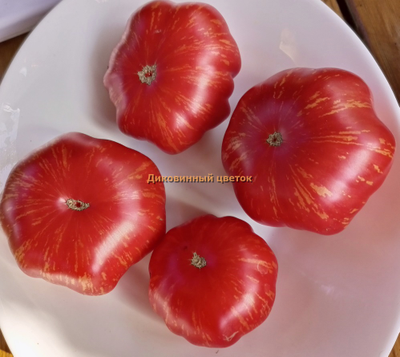 Томат Диковинный цветок розовый