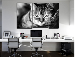 Модульная картина "Кошачье блаженство"