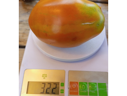 Томат Аббаттиста паста (Abbattista paste)