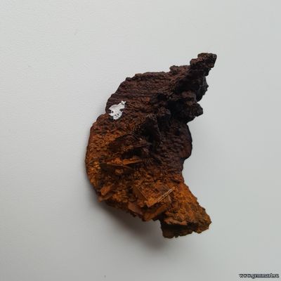 Лимонит по Марказиту