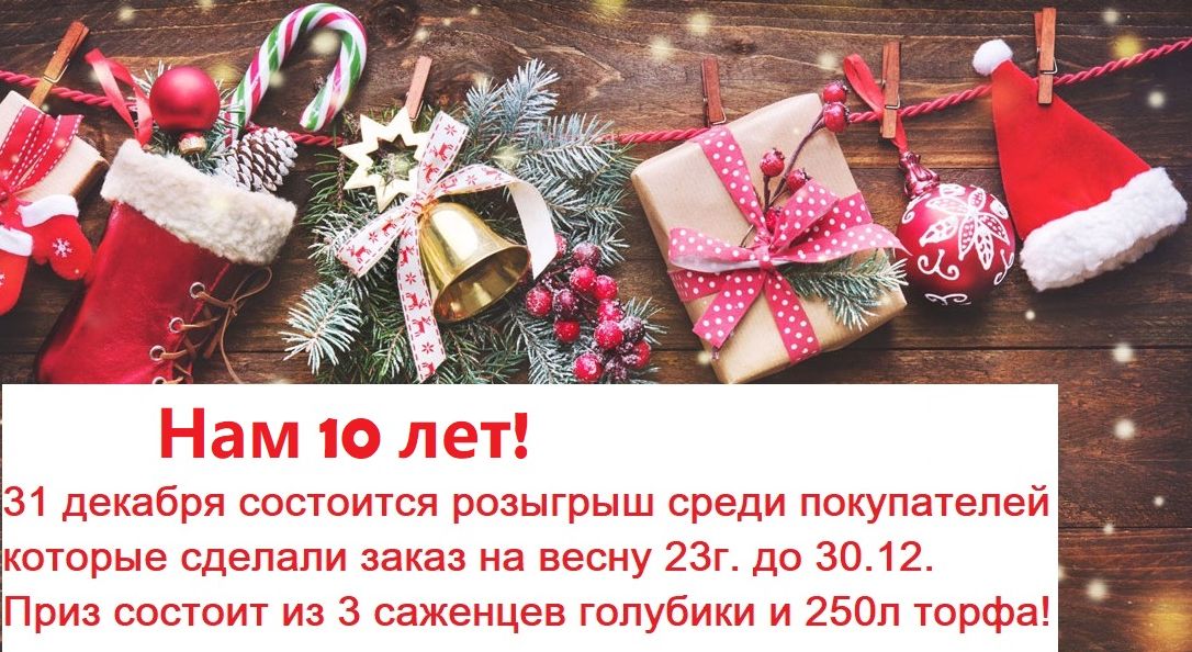 Питомник С.Пензенский питомник плодово-ягодных и декоративных культур ...