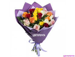 ��������� ����