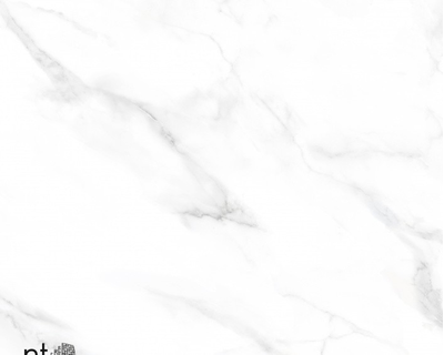 Керамогранит Statuario Endless NTT99506P 60х120