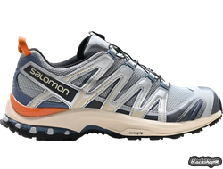 SALOMON XA PRO 3D BLUE (40-45)