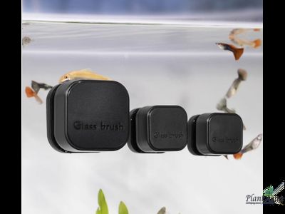 Jeneca MINI CL-01 - Cкребок магнитный 35 мм