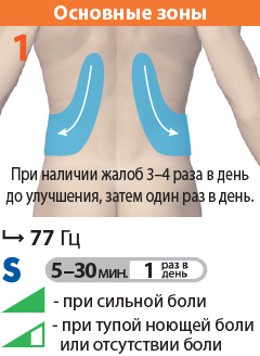 Зона прямой проекции почек и моче-  точников (задняя поверхность тела)
