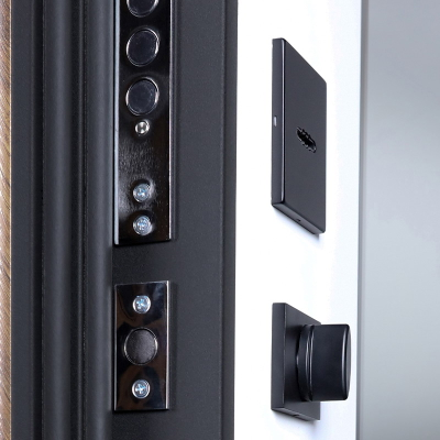 Стальная дверь   Plata с зеркалом (биометрический замок Smart lock Y23)