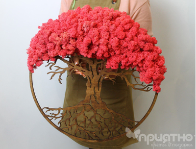 ЖИВАЯ ЭКО-КАРТИНА 1023