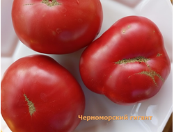 Томат Черноморский гигант