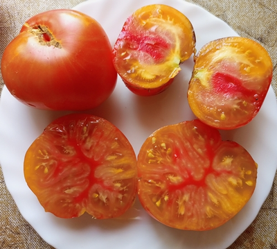 Томат Чупа-чупс (Chupa-Chups)