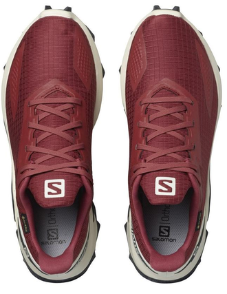 SALOMON ALPHACROSS BLAST GTX W Apple B 411065
