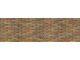 NTR-61B79
