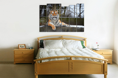 Модульная картина "Спокойный тигр"