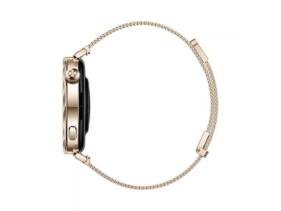 Huawei Watch GT 5 41mm (55020DGX) Золотой