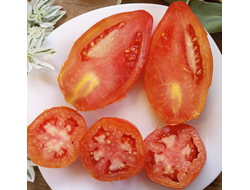 Томат Аббаттиста паста (Abbattista paste)