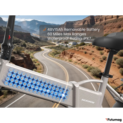 Электровелосипед PUCKIPUPPI DACHSHUND серый