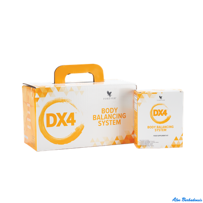 Dx4 Система балансировки тела