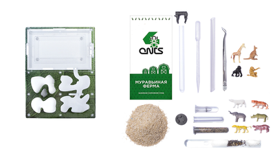 Формикарий 4ants комплект Antrum M зеленый + колония Messor Structor