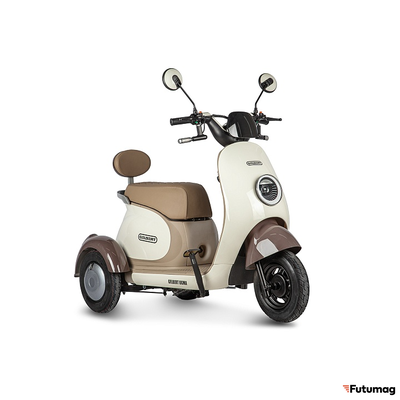 Электротрицикл Rutrike Gelbert Ogma 48V/60V 650Вт бело-коричневый
