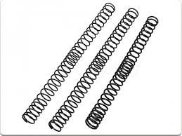 DELPHI 7204-0498 Пружина направляющая