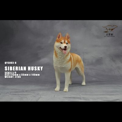 Сибирская хаски (рыжая) - Коллекционная ФИГУРКА 1/6 scale Husky (QYC003B) - QuanYingCun