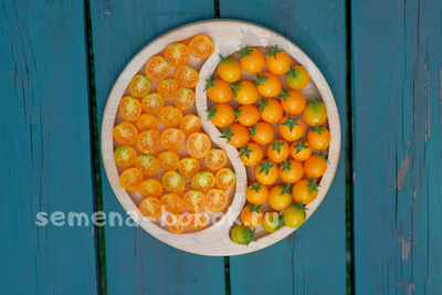 Томат Пендулина оранжевая (Pendulina Orange), 10 шт