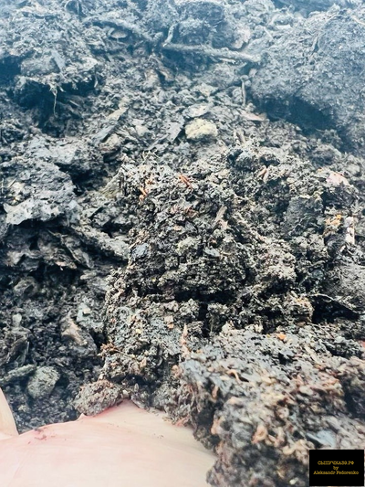 компост на навозной жиже